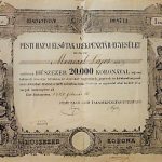 A Pesti Hazai Első Takarékpénztár-Egyesület 1 db részvény 20.000 korona 1924.