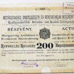 Mezőgazdasági Iparfejlesztő Kereskedelmi RT részvény Déva 1910