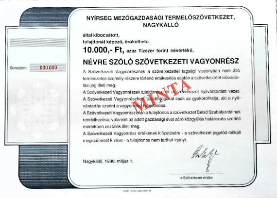 Nyírség MG Termelőszövetkezet Nagykálló Szövetkezeti Vagyonrész 1990