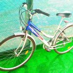 Schwinn Csepel Ambition 26-os női kerékpár bringa