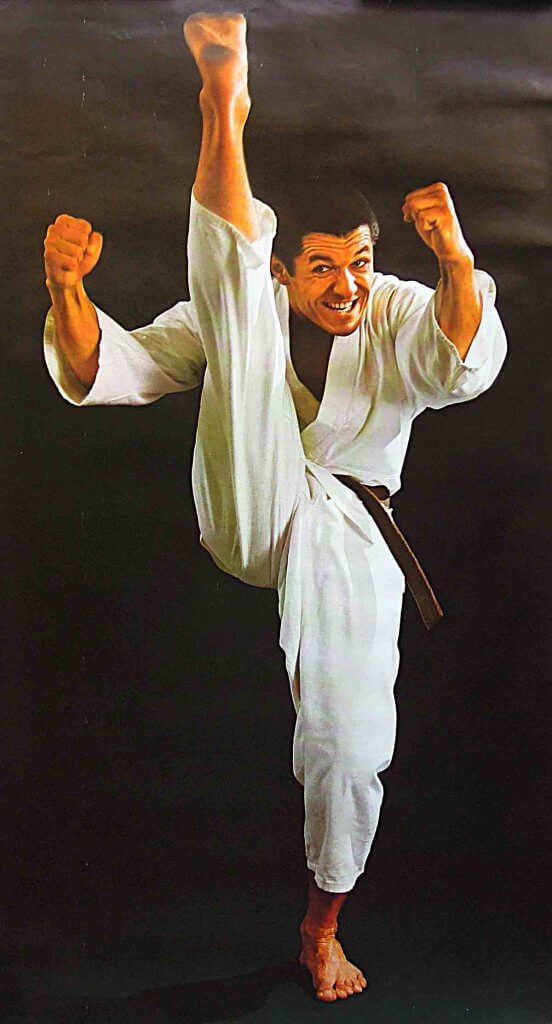 Karate hórukk retro plakát poszter 1981