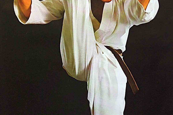 Karate hórukk retro plakát poszter 1981